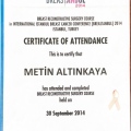 Resmi büyüt: certificate 1