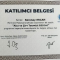 Resmi büyüt: certificate 2