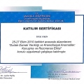 Resmi büyüt: certificate 1