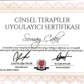 Resmi büyüt: certificate 4