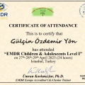 Resmi büyüt: certificate 8
