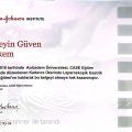 Resmi büyüt: certificate 11