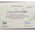 Resmi büyüt: certificate 1
