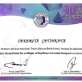 Resmi büyüt: certificate 8