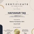 Resmi büyüt: certificate 2