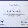 Resmi büyüt: certificate 3