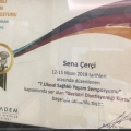 Resmi büyüt: certificate 2