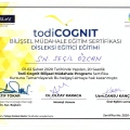 Resmi büyüt: certificate 30