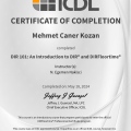 Resmi büyüt: certificate 1