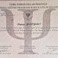 Resmi büyüt: certificate 5