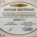 Resmi büyüt: certificate 12
