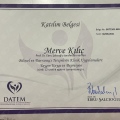 Resmi büyüt: certificate 3