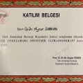 Resmi büyüt: certificate 5