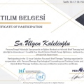 Resmi büyüt: certificate 4