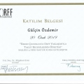 Resmi büyüt: certificate 18