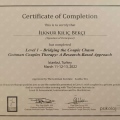 Resmi büyüt: certificate 2