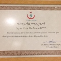 Resmi büyüt: certificate 8