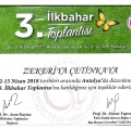 Resmi büyüt: certificate 12