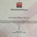 Resmi büyüt: certificate 1