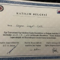 Resmi büyüt: certificate 20