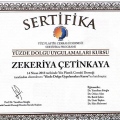 Resmi büyüt: certificate 24