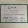 Resmi büyüt: certificate 28