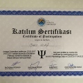 Resmi büyüt: certificate 19