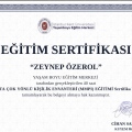 Resmi büyüt: certificate 2
