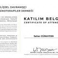 Resmi büyüt: certificate 5