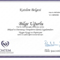 Resmi büyüt: certificate 7