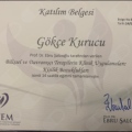 Resmi büyüt: certificate 11
