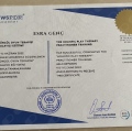 Resmi büyüt: certificate 3