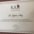 Resmi büyüt: certificate 29
