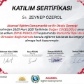 Resmi büyüt: certificate 6