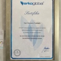 Resmi büyüt: certificate 6