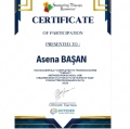 Resmi büyüt: certificate 10