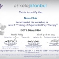 Resmi büyüt: certificate 3