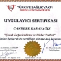 Resmi büyüt: certificate 12
