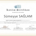 Resmi büyüt: certificate 3