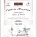 Resmi büyüt: certificate 4