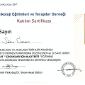 Resmi büyüt: certificate 21