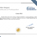 Resmi büyüt: certificate 9