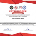 Resmi büyüt: certificate 2