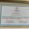 Resmi büyüt: certificate 2