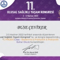 Resmi büyüt: certificate 8