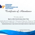 Resmi büyüt: certificate 2