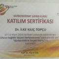 Resmi büyüt: certificate 12