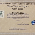 Resmi büyüt: certificate 2