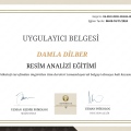 Resmi büyüt: certificate 59