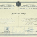 Resmi büyüt: certificate 35